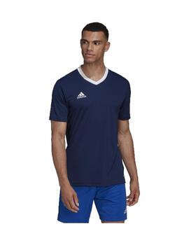 Camiseta Adidas Entrada 22