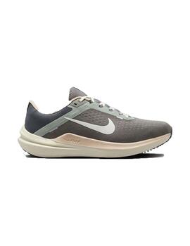 Zapatilla Nike Air Winflo 10