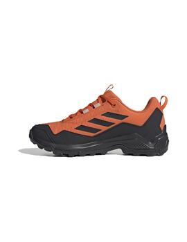 Zapatilla Adidas Terrez Eastrail Gtx