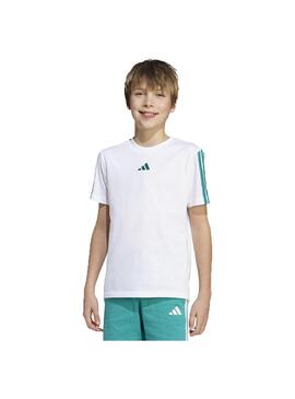 Camiseta Adidas essential 160