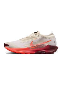 Zapatilla Nike pegasus trail 5 gtx