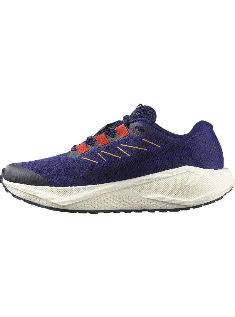 Zapatilla Salomon Aero blaze 3 gr vl