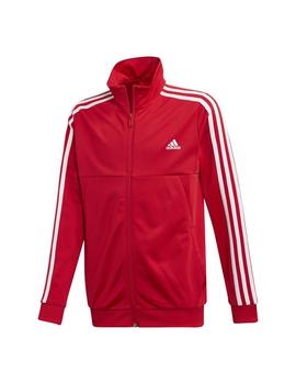 CONJUNTO ADIDAS YB TS TIRO